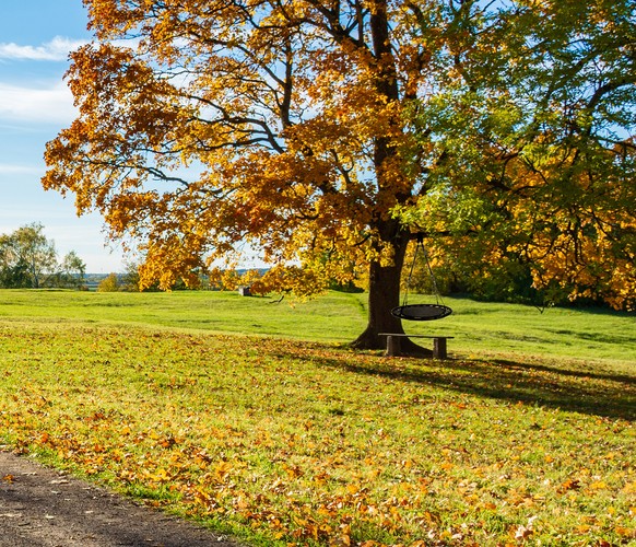 Hojdačka kruh 100 cm čierna – Obrázok 10