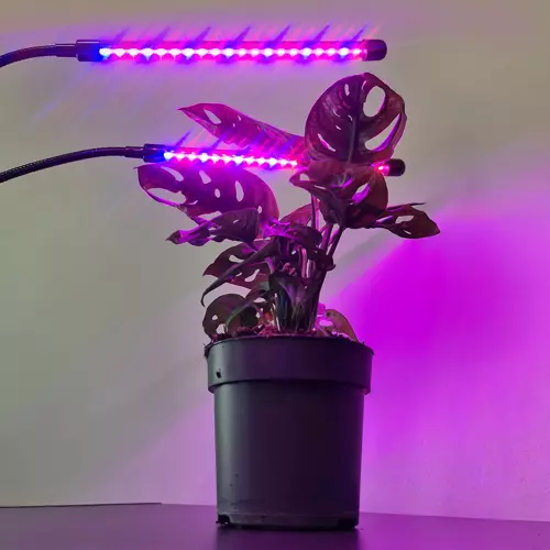 Lampa 20 LED 2 ks. pre rast rastlín Gardlov 19241 – Obrázok 6