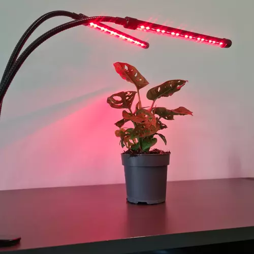 Lampa 20 LED 2 ks. pre rast rastlín Gardlov 19241 – Obrázok 7