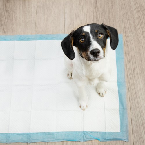 Hygienická podložka 60x90cm 50ks. Purlov 21602 – Obrázok 12