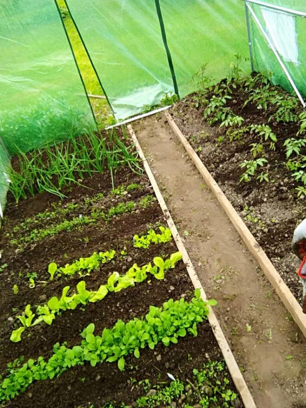 Záhradný Fóliovník 3x2x2m S UV Filtrom (Biely) – Obrázok 2
