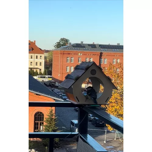 Kŕmidlo pre vtáky Maaleo 22585 – Obrázok 16