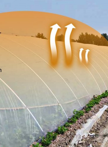 Skleníková Fólia 4.9 X 7.6 M Odolná Voči UV Žiareniu – Obrázok 4