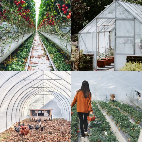 Skleníková Fólia 4.9 X 7.6 M Odolná Voči UV Žiareniu – Obrázok 7