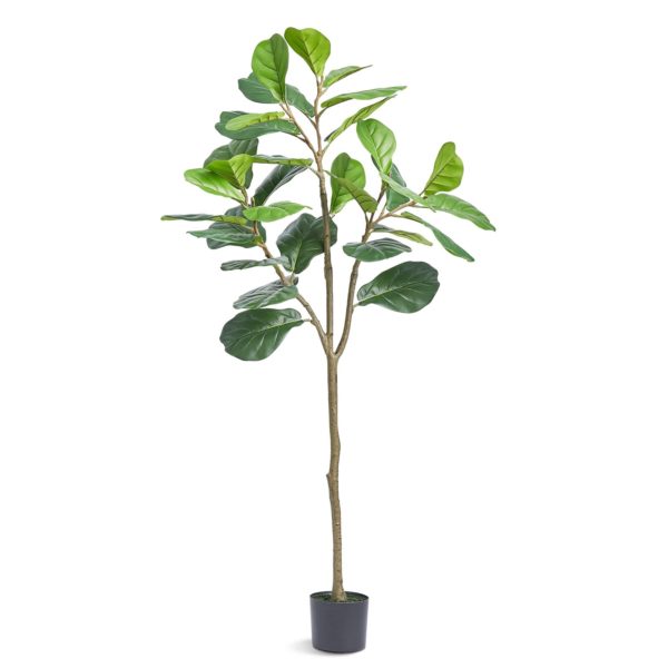 Umelý Figovník (155 Cm)