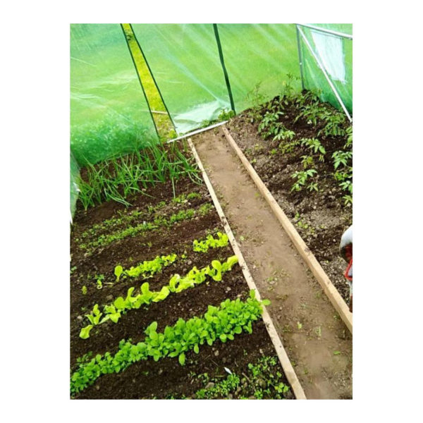 Záhradný Fóliovník 3X8X2m – 24m² S UV Filtrom A Konštrukciou – Obrázok 10