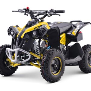 Benzínová štvrtkolka RENEGADE HighPer 49CC