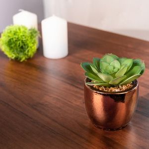 Sukulent MagicHome S34042, 15 cm, črepník- cement, zlatý, umelý