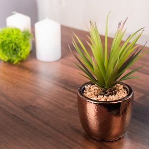 Sukulent MagicHome S34041, 19 cm, črepník- cement, zlatý, umelý