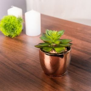Sukulent MagicHome S34040, 12 cm, črepník- cement, zlatý, umelý