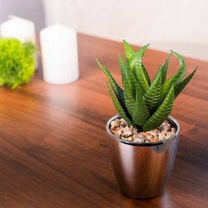 Sukulent MagicHome S15642, 17 cm, kvetináč - plast, strieborný, umelý