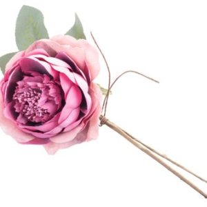 Kvet MagicHome, ruža rozvitá, tmavoružová, stonka, veľkosť kvetu: 11 cm, dĺžka kvetu: 22 cm, bal. 6 ks