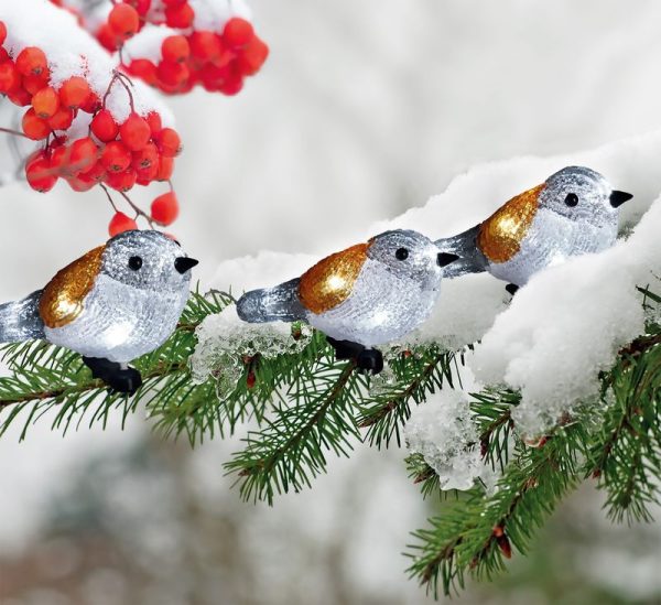 Reťaz MagicHome Vianoce A Bird, 25x LED, IP44, 3xAA, osvetlenie, 5 vtáčikov – Obrázok 2