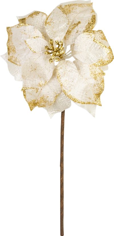 Kvet MagicHome Vianoce, Poinssetia, biela, stonka, 38 cm, veľkosť kvetu: 24 cm