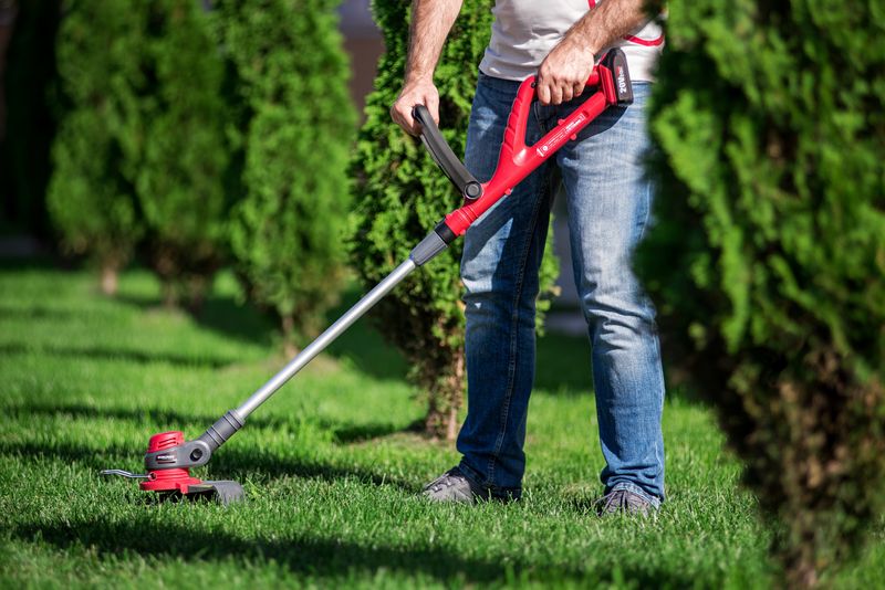 Vyžínač Worcraft CGT-S20LiSTA ShareSYS, 20V Li-ion, 24 cm, SET nylónová hlava, silón, akumulátor a nabíjačka – Obrázok 2