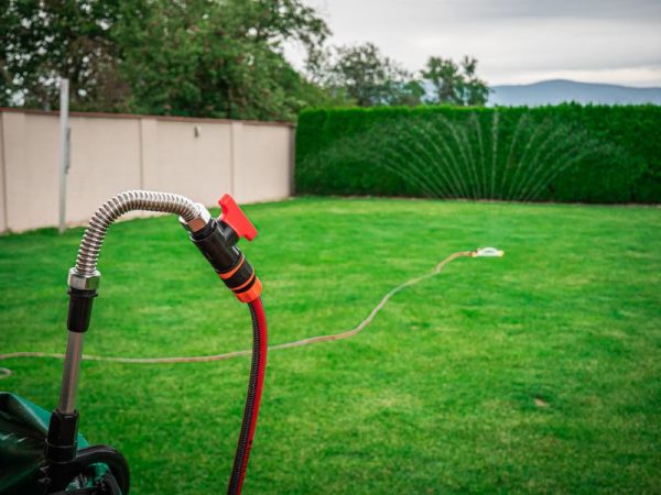 Čerpadlo Strend Pro Garden MR2500, 2v1, do suda, 350W, 5500 l/h, kábel 10 m – Obrázok 2