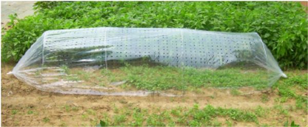 Parenisko Strend Pro Garden, 310x100 cm, mini fóliovník, perforované – Obrázok 2
