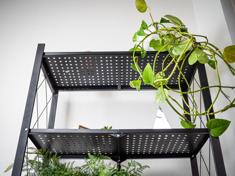 Regál Racks RAW5T, kovový, 5 police, 1630x720x340 mm, max. 50 kg/polica, prenosný, na kolieskach – Obrázok 7
