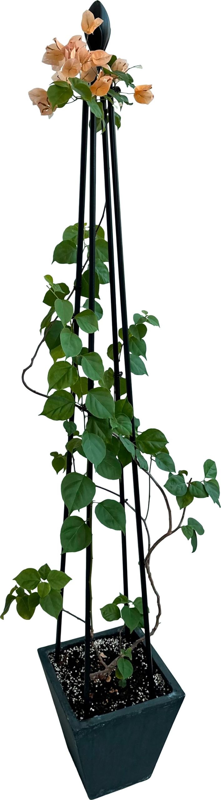 Opora Strend Pro, na rastliny, 4-nohá, 150 cm – Obrázok 2