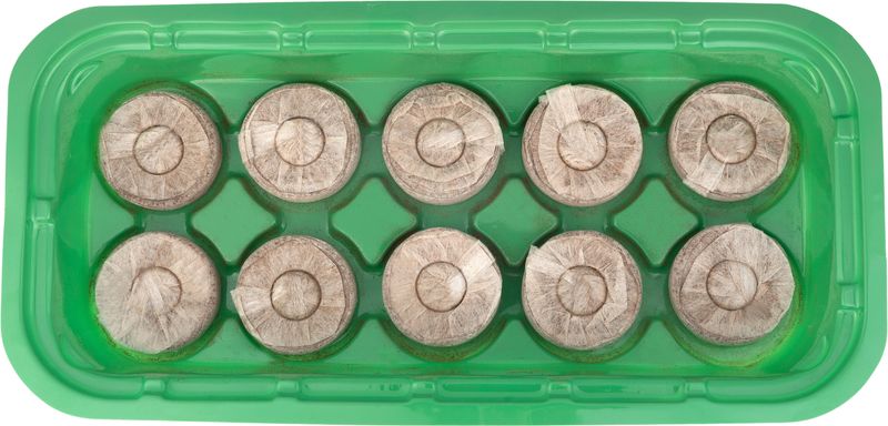 Miniparenisko Strend Pro, Herrison MG-027, s 10 kokosovými tabletami , 26x12,5x4 cm – Obrázok 2