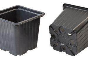 Kvetináč Strend Pro, na priesady, štvorec, 8x8x7 cm