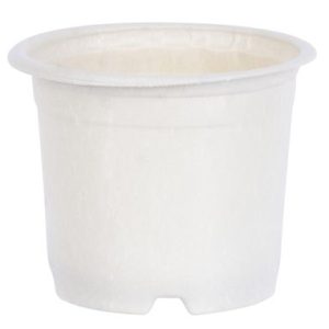 Kvetináč Strend Pro, na priesady, okrúhly, 10,5x8,5 cm