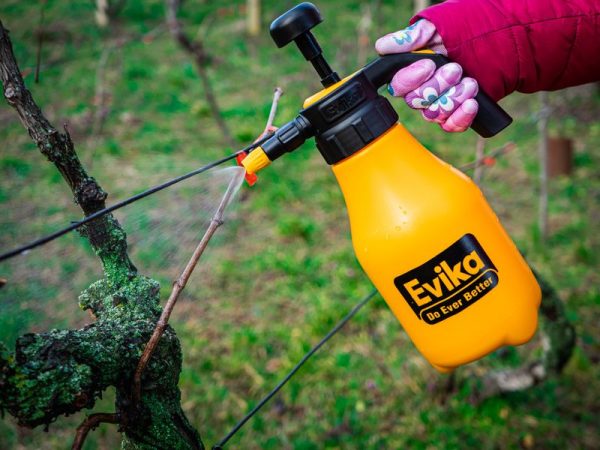 Postrekovač Evika AG10, 1.0 lit, ručný – Obrázok 2