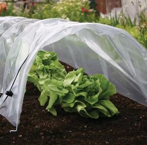 Parenisko Strend Pro Greenhouse, mini fóliovník, 55x1000x40 cm