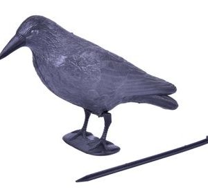 Plašič vtákov Havran čierny, 38 cm