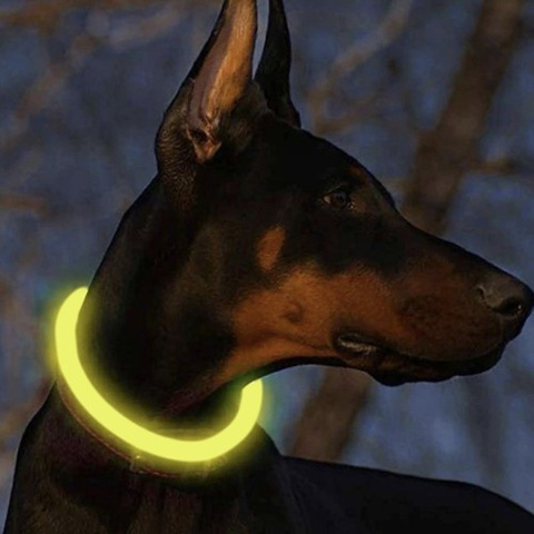 LED svetelný nastaviteľný obojok Purlov 24200 – Obrázok 7
