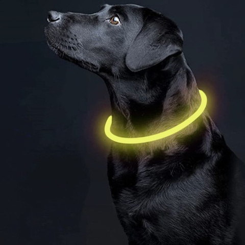 LED svetelný nastaviteľný obojok Purlov 24200 – Obrázok 6