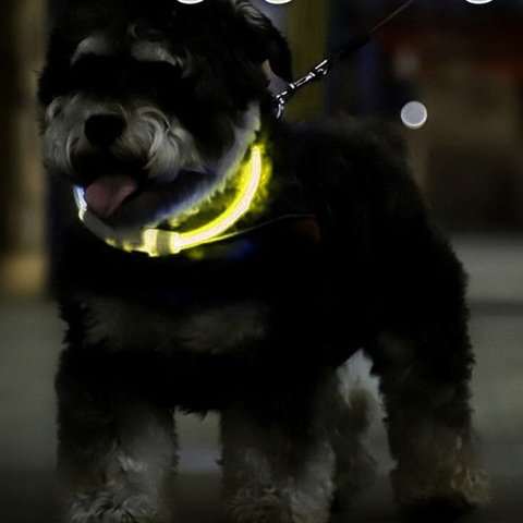 LED svetelný nastaviteľný obojok Purlov 24200 – Obrázok 4