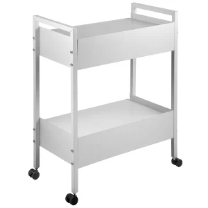 2-poschodový úžitkový vozík z nehrdzavejúcej ocele, zdravotnícky vozík, 2 zásuvky, kolieskový laboratórny vozík, biely servírovací vozík s 360° kolieskami, pre laboratórium, nemocnicu, zubnú ordináciu, salón