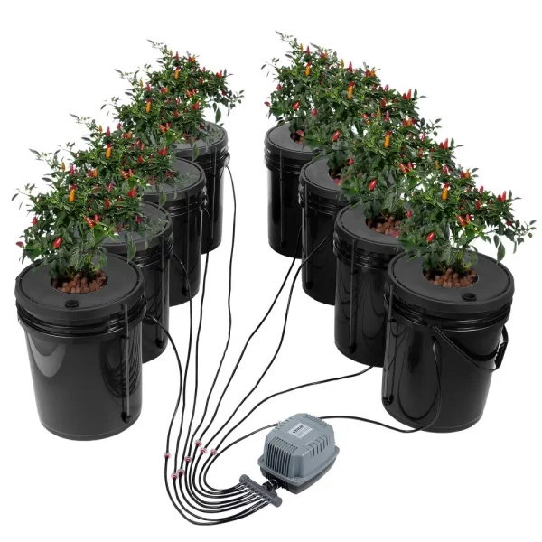 DWC hydroponický pestovateľský systém, hydroponický pestovateľský systém, hlbokovodná kultúra s objemom 5 galónov, 8 vedier, systém DWC so vzduchovým čerpadlom, vzduchovacími kameňmi a indikátorom hladiny vody pre listovú zeleninu – Obrázok 7