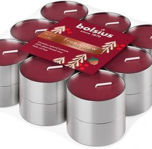 Sviečka Bolsius Starlight Zimné korenie, Vianoce, vínová červená, čajová, 4 hod., bal. 18 ks