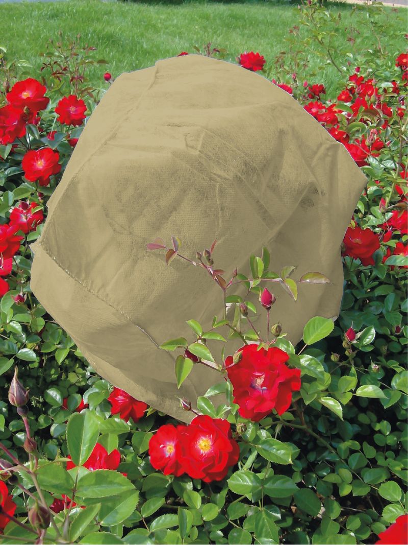 Návlek Strend Pro, 30 g, béžový, ochranný, proti mrazu, vtákom a škodcom, netkaná textília, 80x75 cm, 3 ks – Obrázok 2