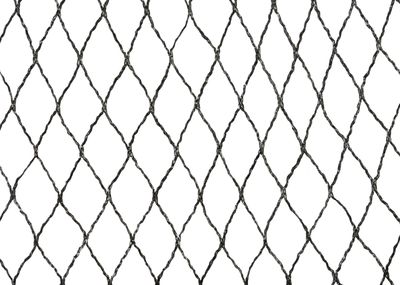 Sieť Strend Pro, 8x8 m, oko 25 mm, proti vtákom, PE