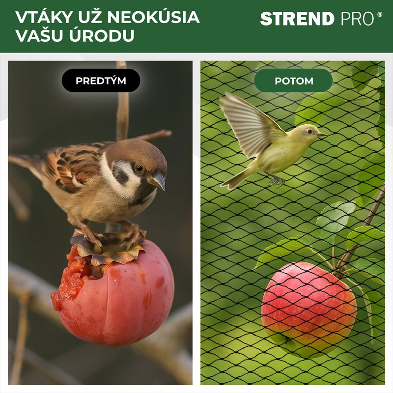 Sieť Strend Pro, 8x8 m, oko 25 mm, proti vtákom, PE – Obrázok 3