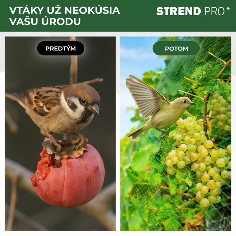 Sieť Strend Pro, 2x5 m, oko 18 mm, proti vtákom, PE – Obrázok 3