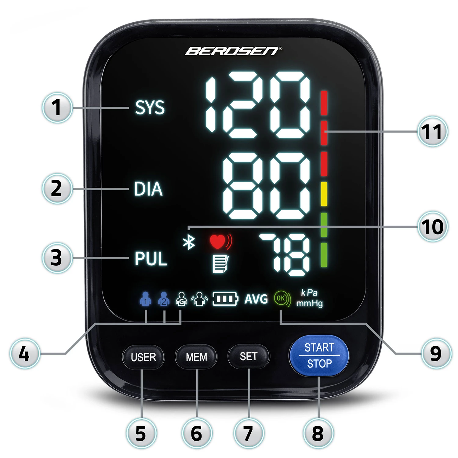 Tlakomer na hornú časť paže Berdsen BD-123 s poľskými hláseniami a Bluetooth – Obrázok 6