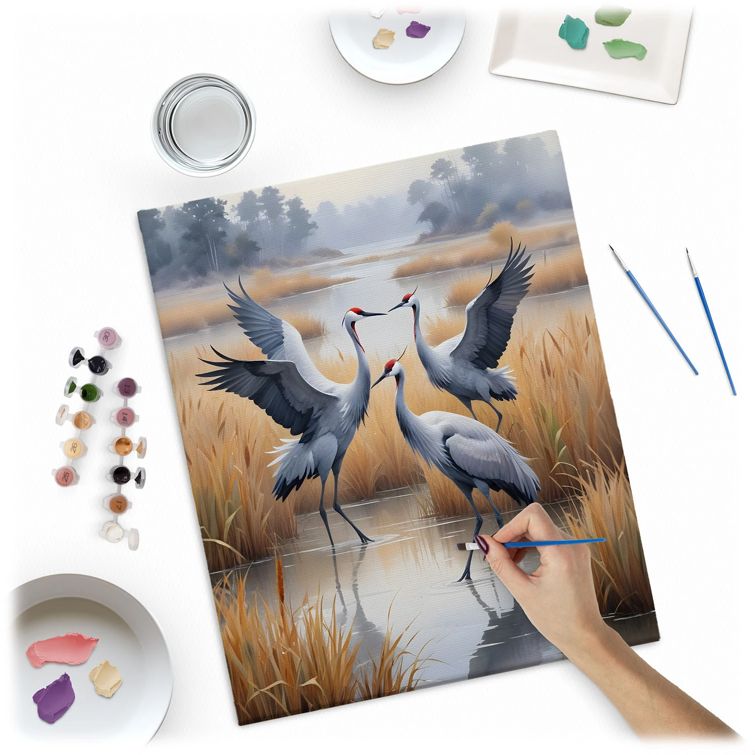 Maľovanie podľa čísel 40x50 cm Žeriavy Massido – Obrázok 5