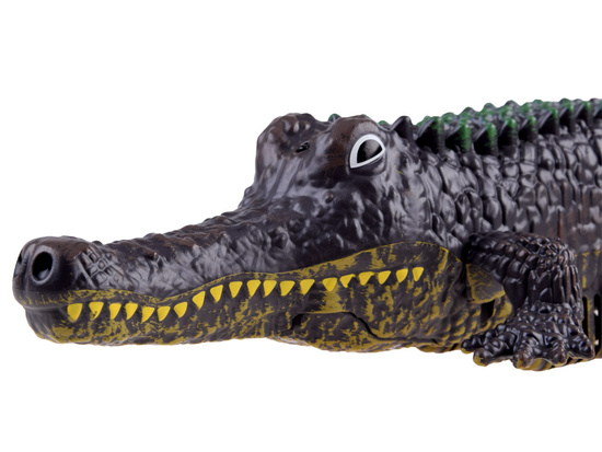 Diaľkovo ovládaný krokodíl s 2,4 GHz diaľkovým ovládaním RC0616 – Obrázok 8