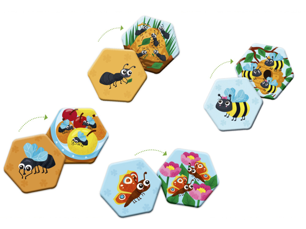 Kapitán Science Pamäť Hmyz a chrobáky 3+ GR0550 – Obrázok 2