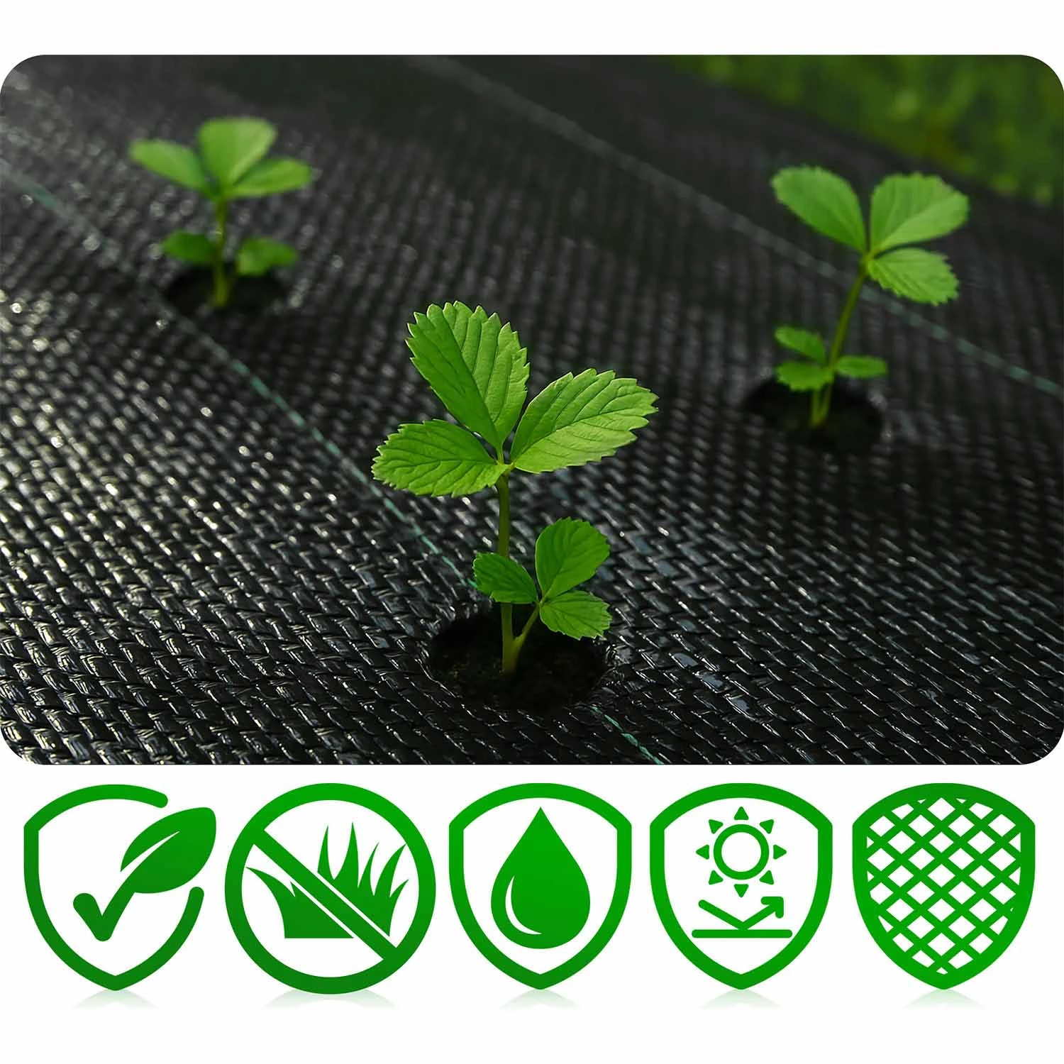 Záhradná agrotextília 1,6 m x 100 m 90 g/m2 + 100 špendlíkov Plonos - čierna – Obrázok 3