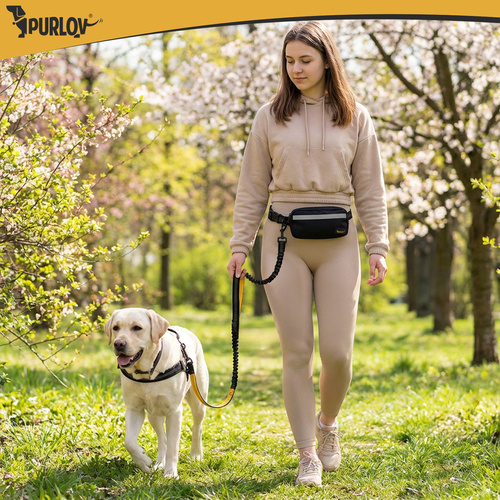 Bedrový pás Purlov 24689 s vodítkom – Obrázok 6